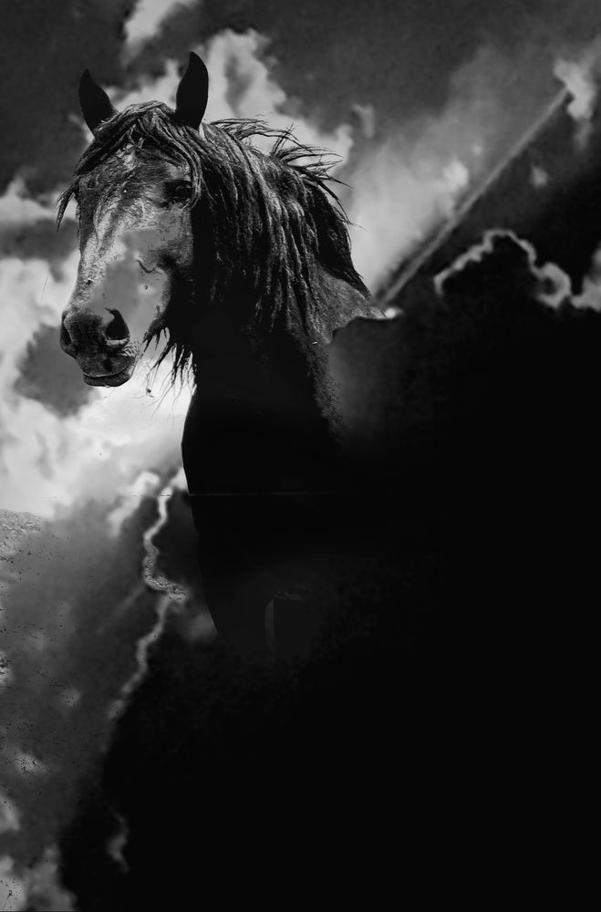 Photograph by Viktorova