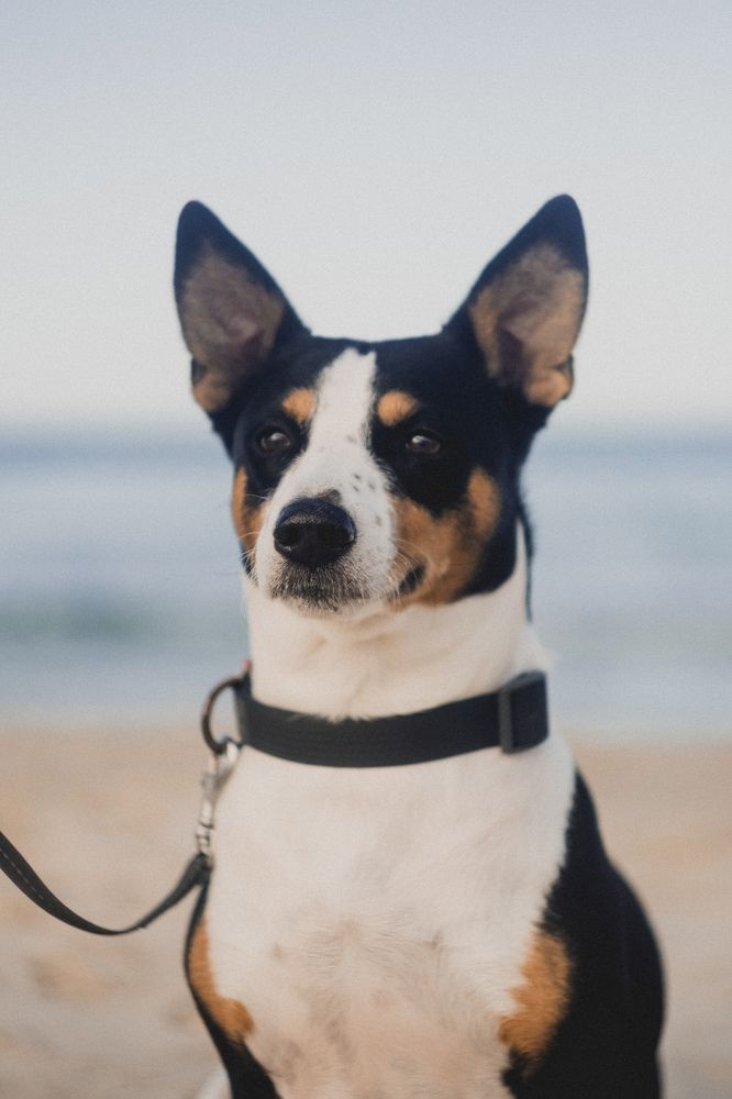 Фотография автора Виктория Калганова