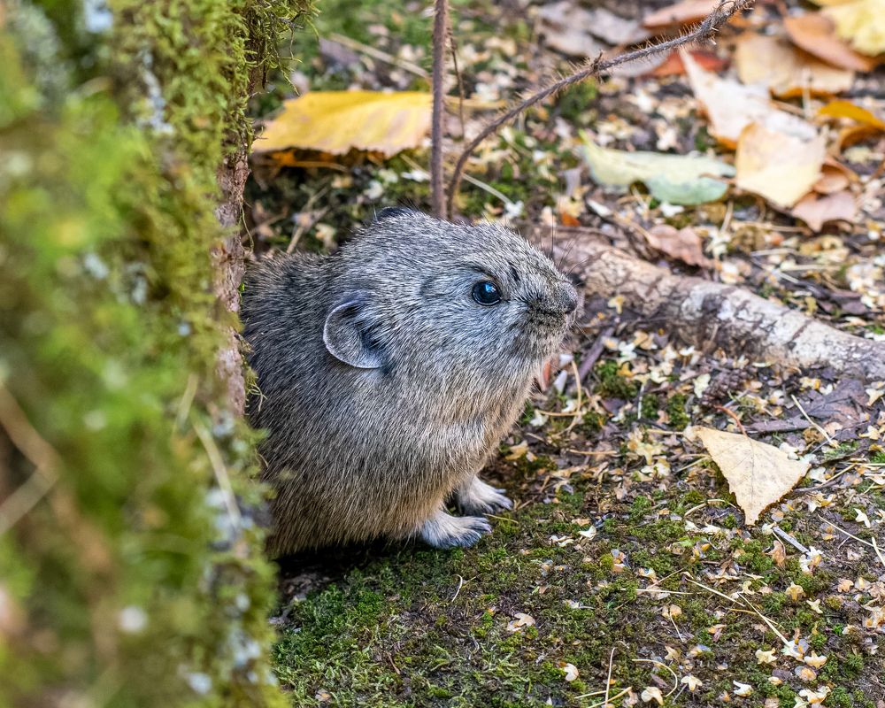 Photograph by Екатерина Дубровская