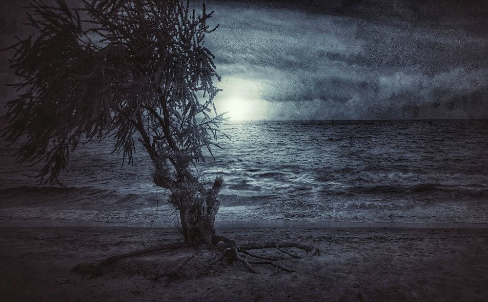 Photograph by Viktorova