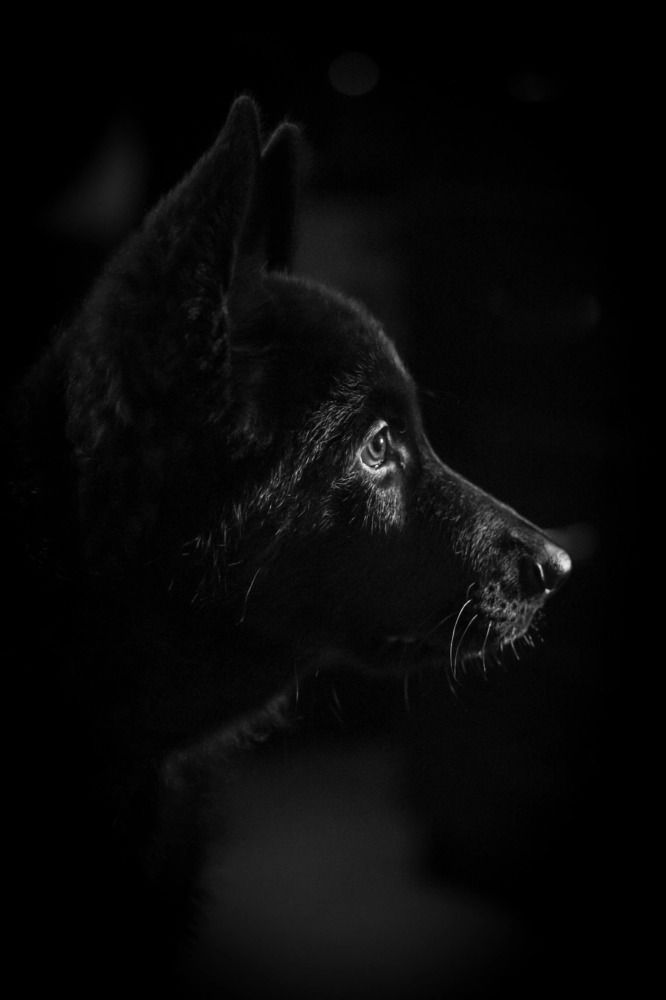 Photograph by Анна Иванова