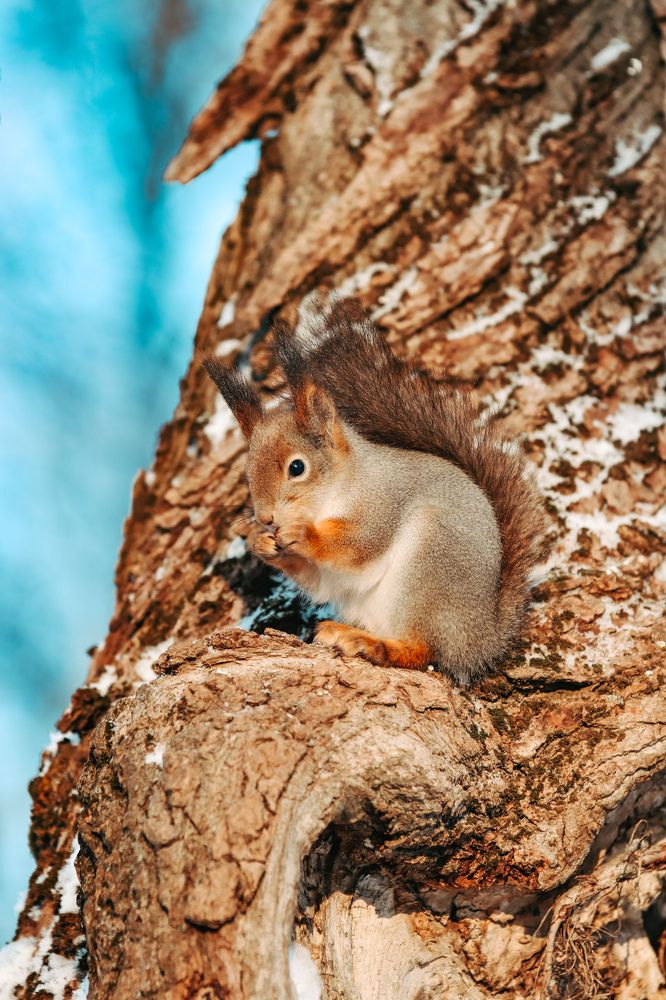 Photograph by Алексей Голубев