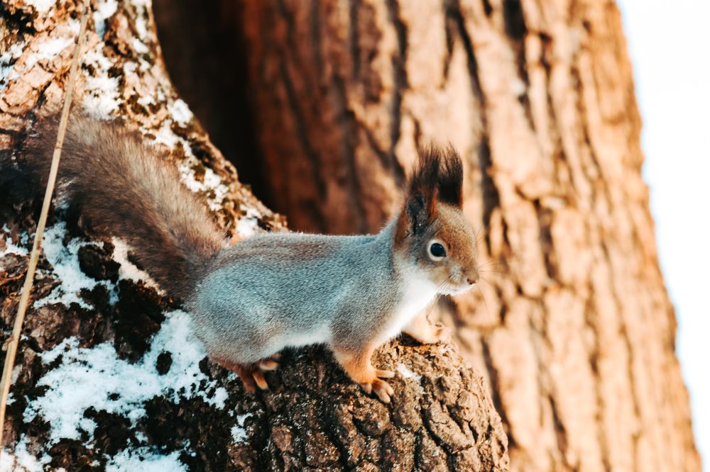 Photograph by Алексей Голубев