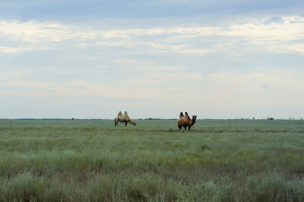 Photograph by Владимир