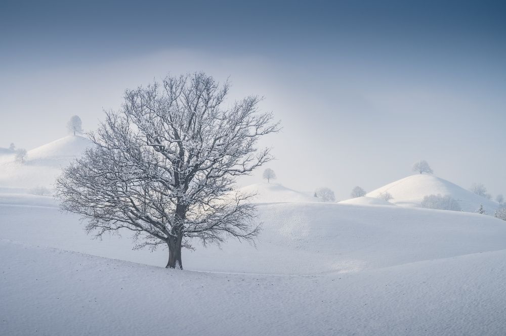 „Winter Wonderland“