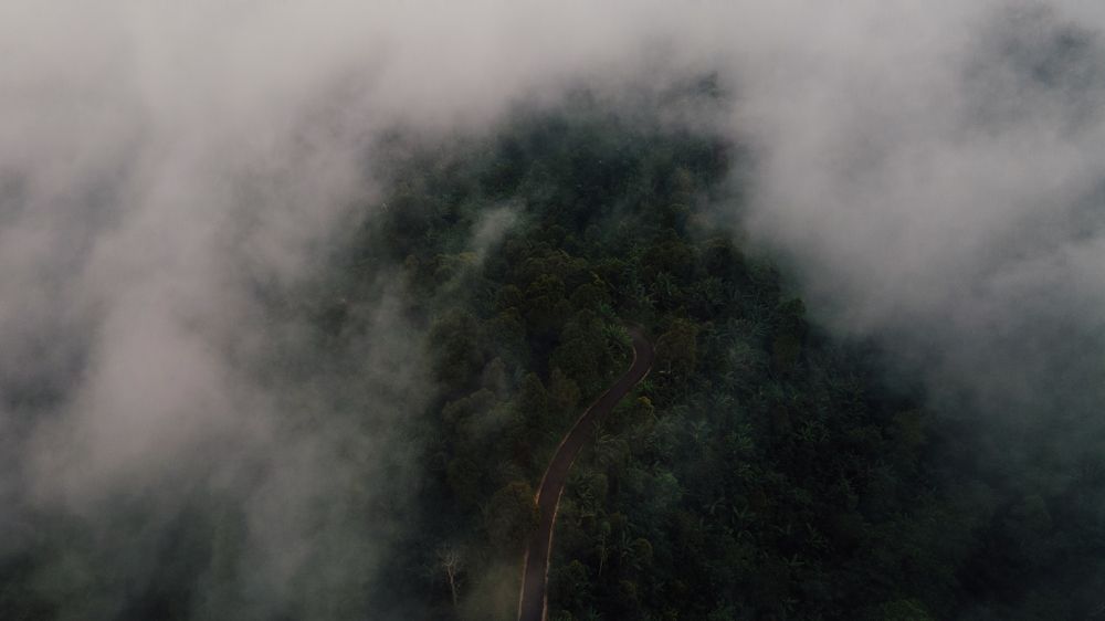 Фотография автора Фуад Алиев