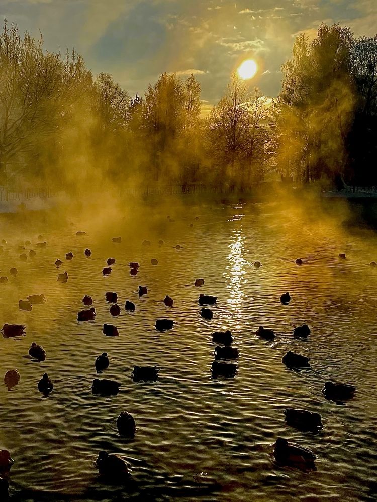 Photograph by Валерий Дьячков