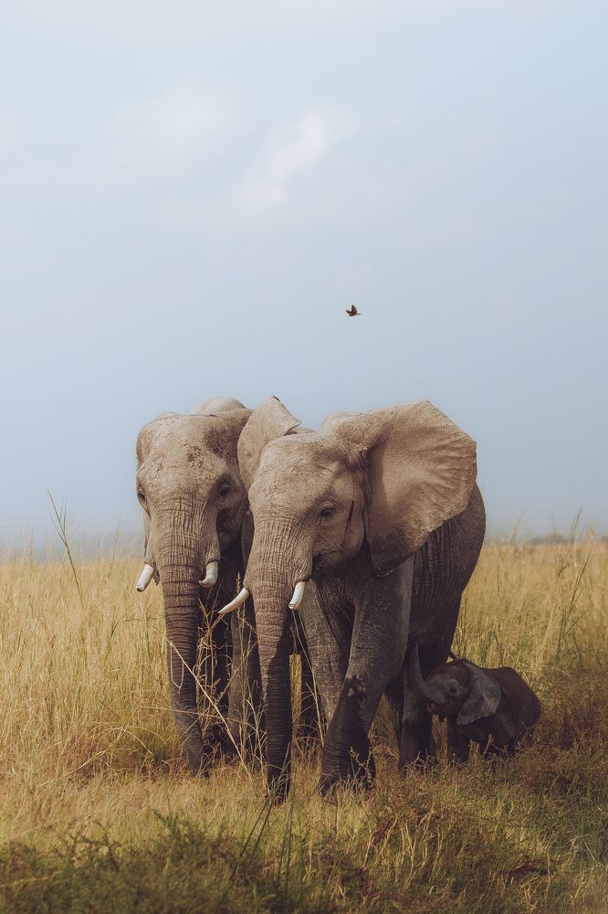 Фотография автора Фуад Алиев