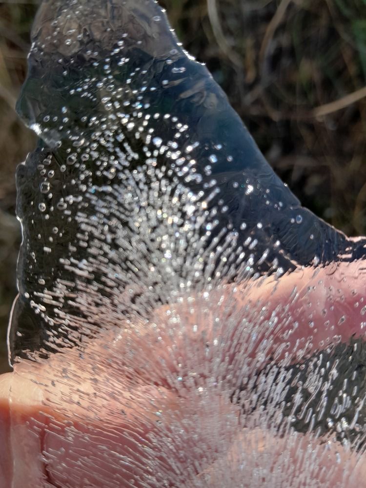 Ледяная ёлочка.