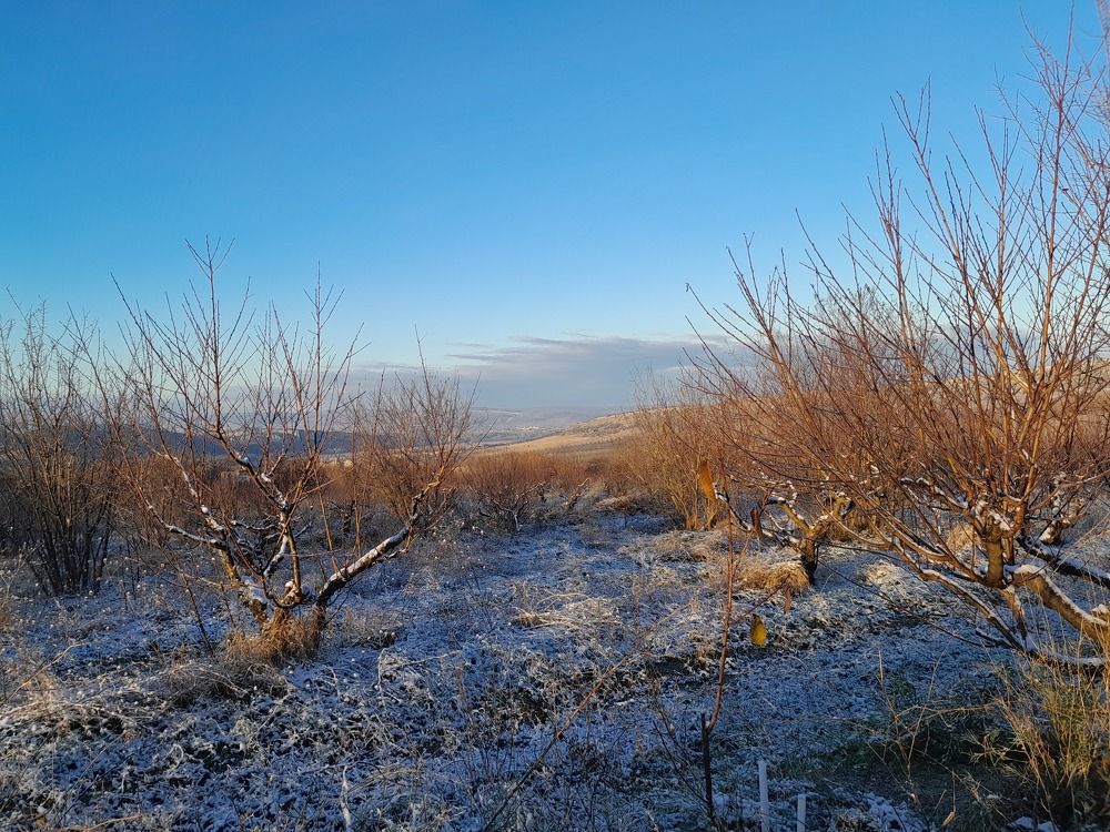 Photograph by Татьяна Ситникова