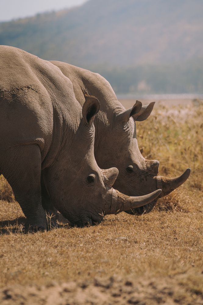 Фотография автора Фуад Алиев