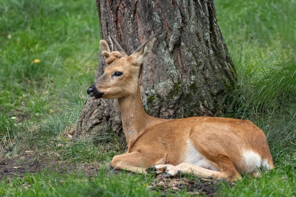 Photograph by Елена Невидимова