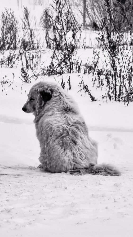 Photograph by Денис Бочаров