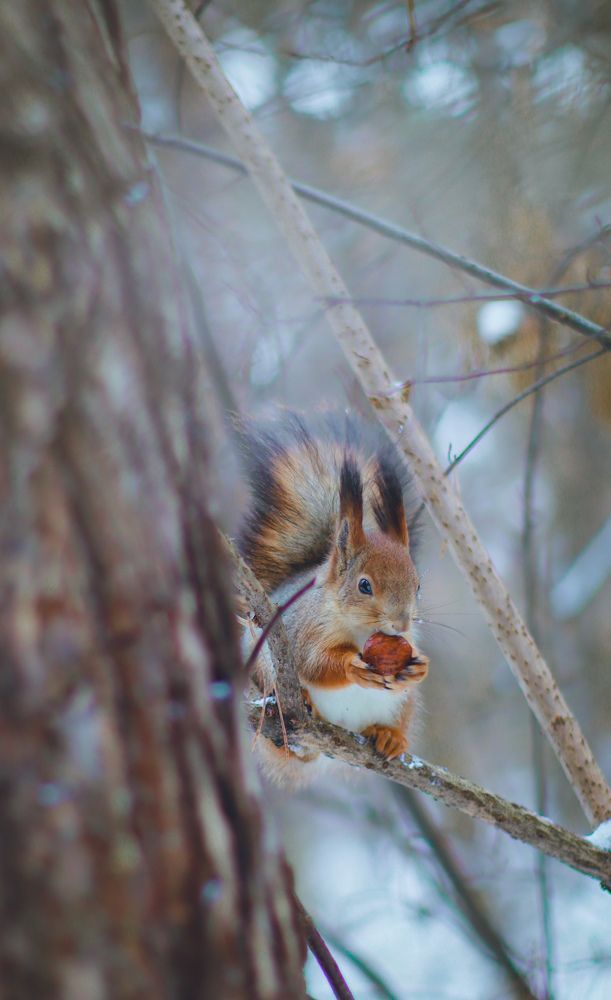 Photograph by Карина