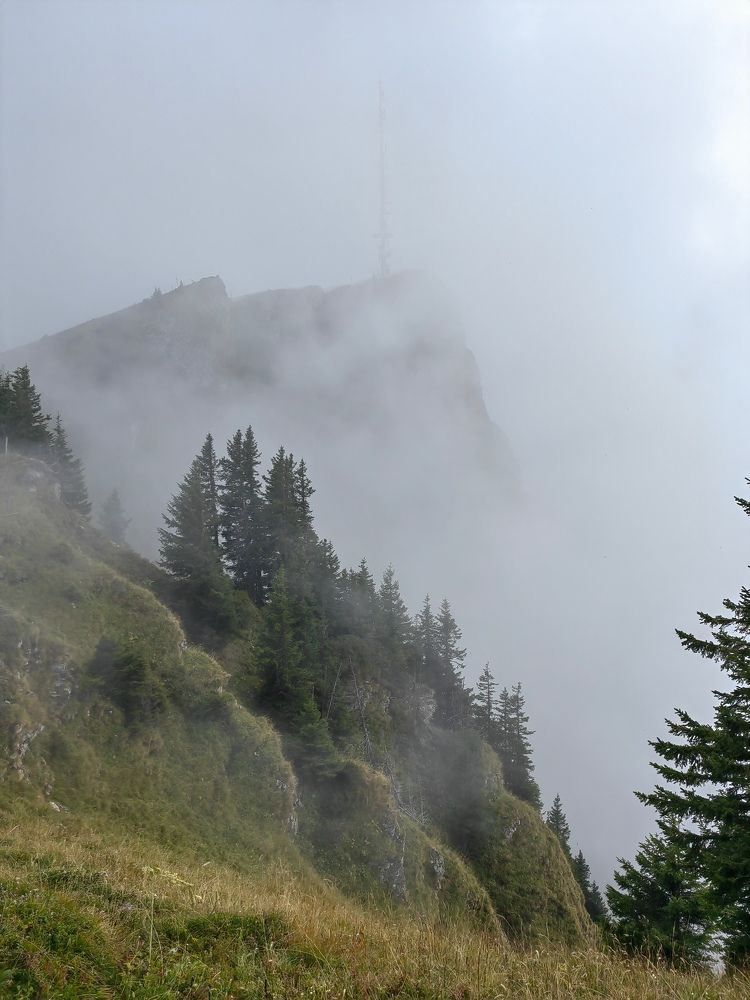 Photograph by Kristina Frizyuk