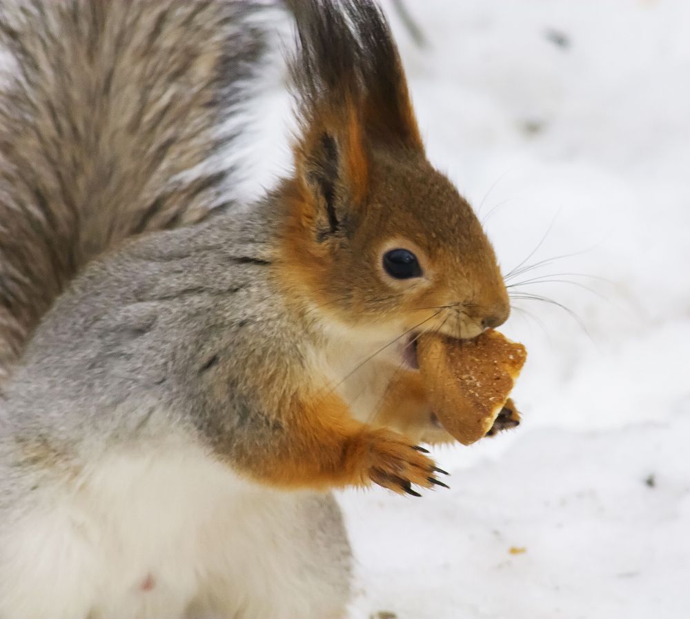 Photograph by Алексей Патлах