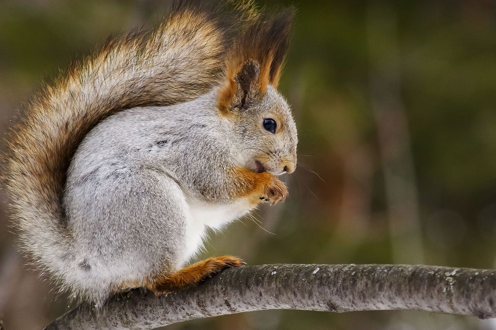 Photograph by Алексей Патлах