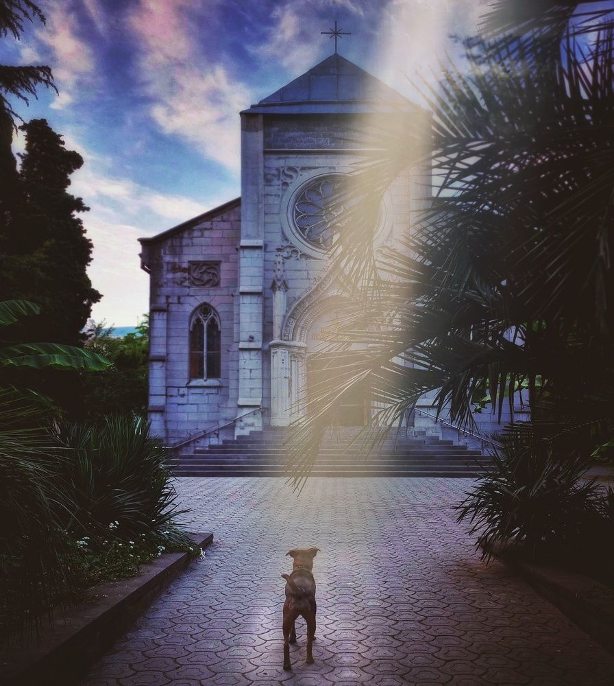 Photograph by Юлия Звонарева