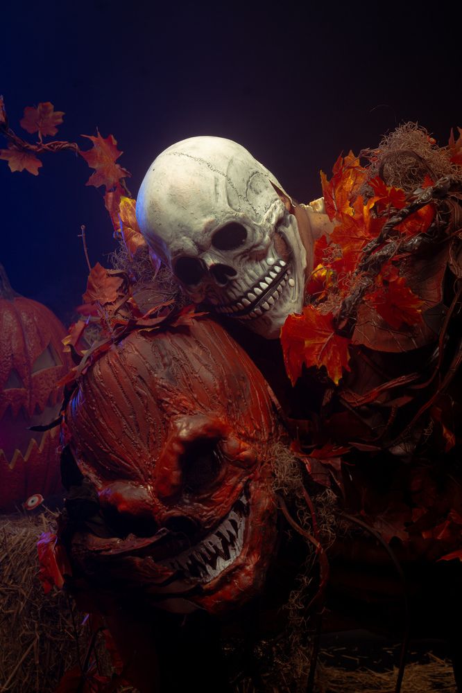 Photograph by Elio Rodríguez