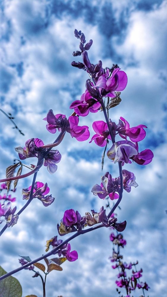 Photograph by Олеся Лосыгина