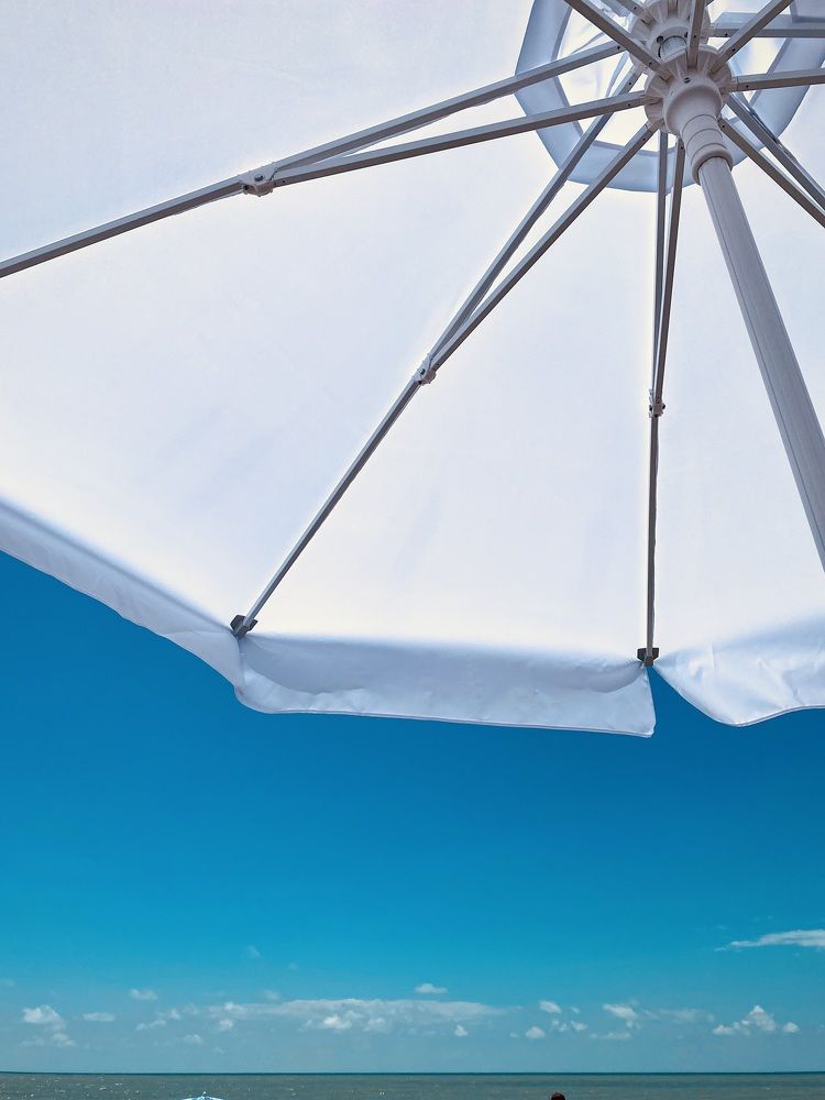 Photograph by Алина Соколова