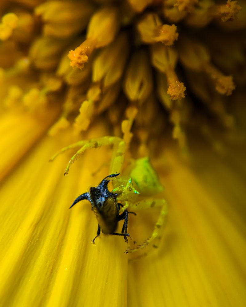 Photograph by Udhay masireddy