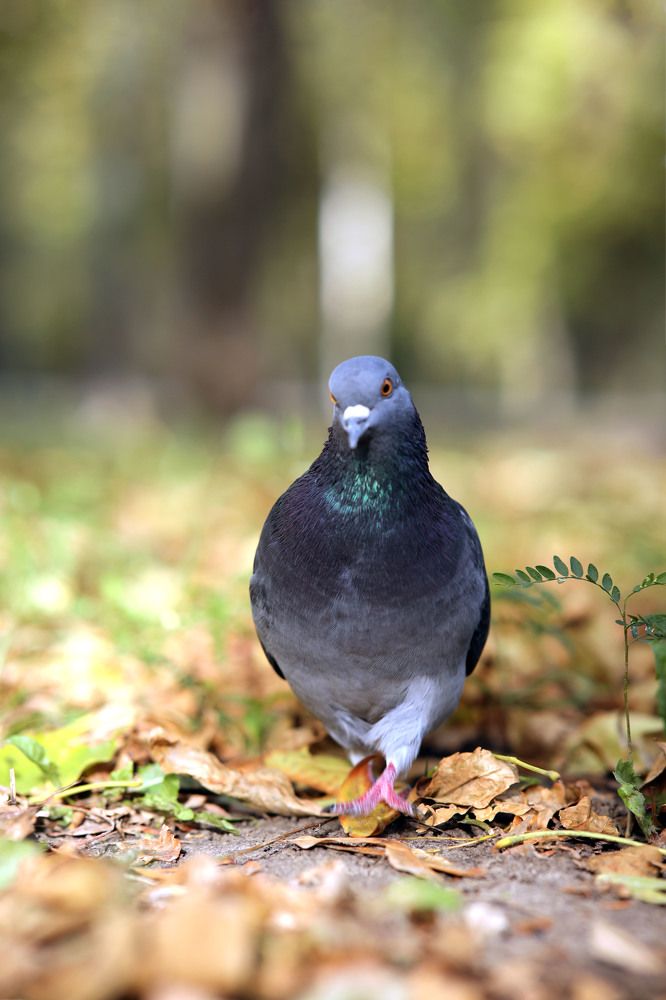 Photograph by Лариса Черных