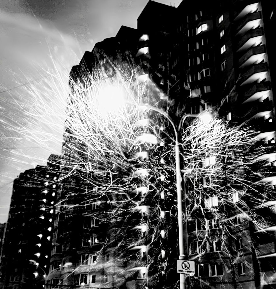 Photograph by Юлия