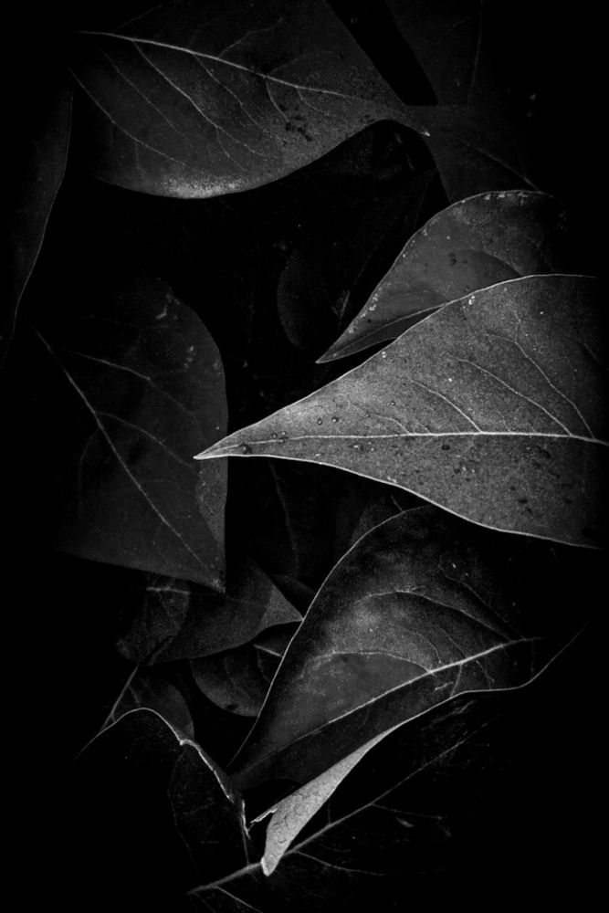 Photograph by Дарья Макаревич