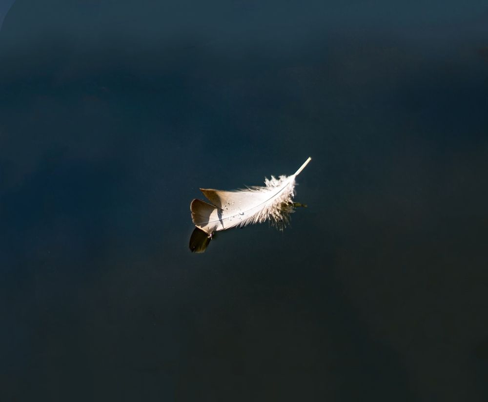 Photograph by Юлия