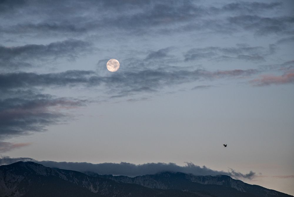 Photograph by Karolina Navodnik