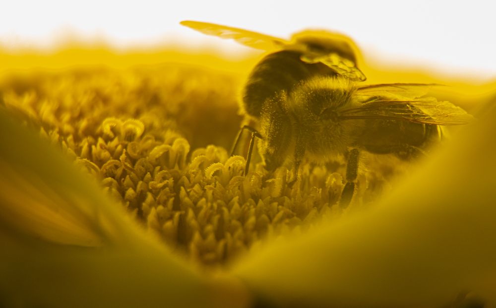 Photograph by Karolina Navodnik