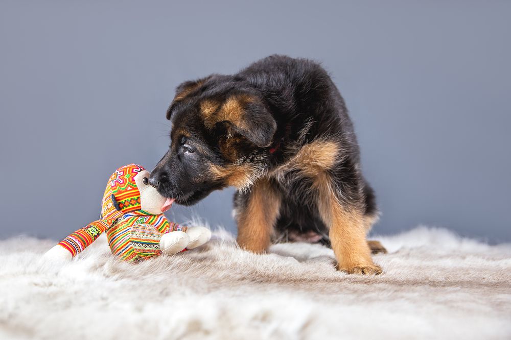 Photograph by Елена Вьюркова