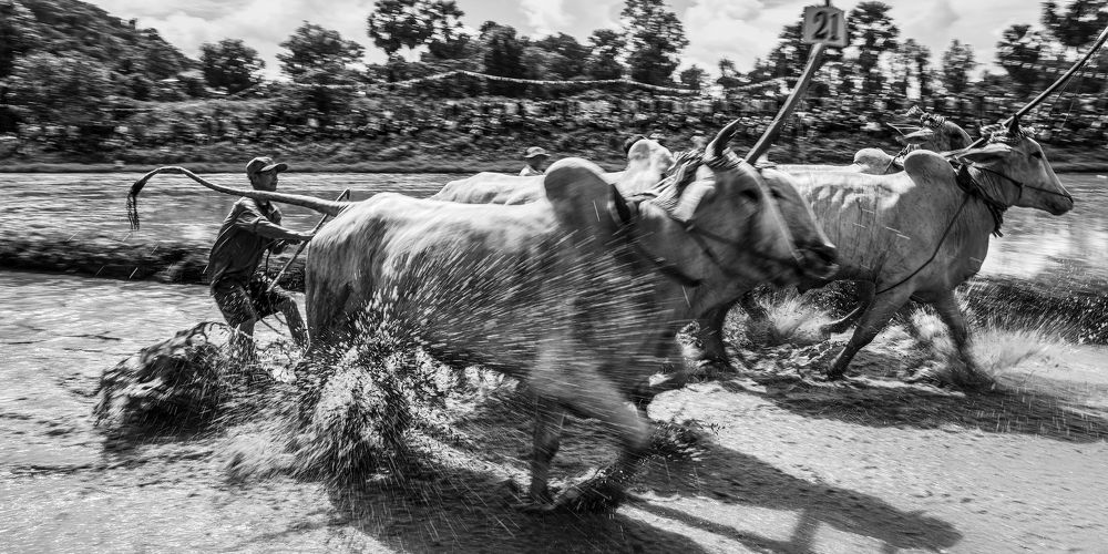 Photograph by Do Thi Thanh Binh