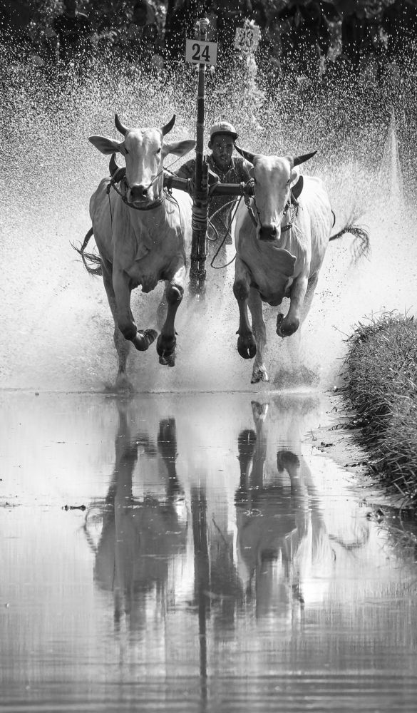 Photograph by Do Thi Thanh Binh