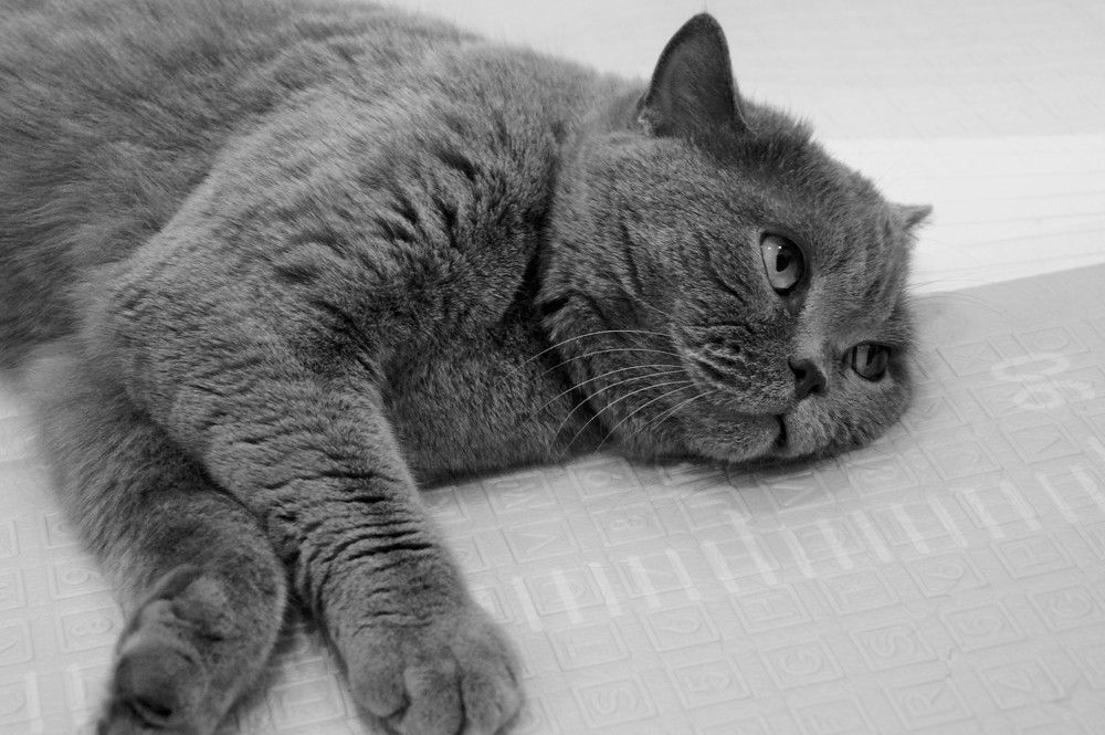 Photograph by Светлана Трушкова