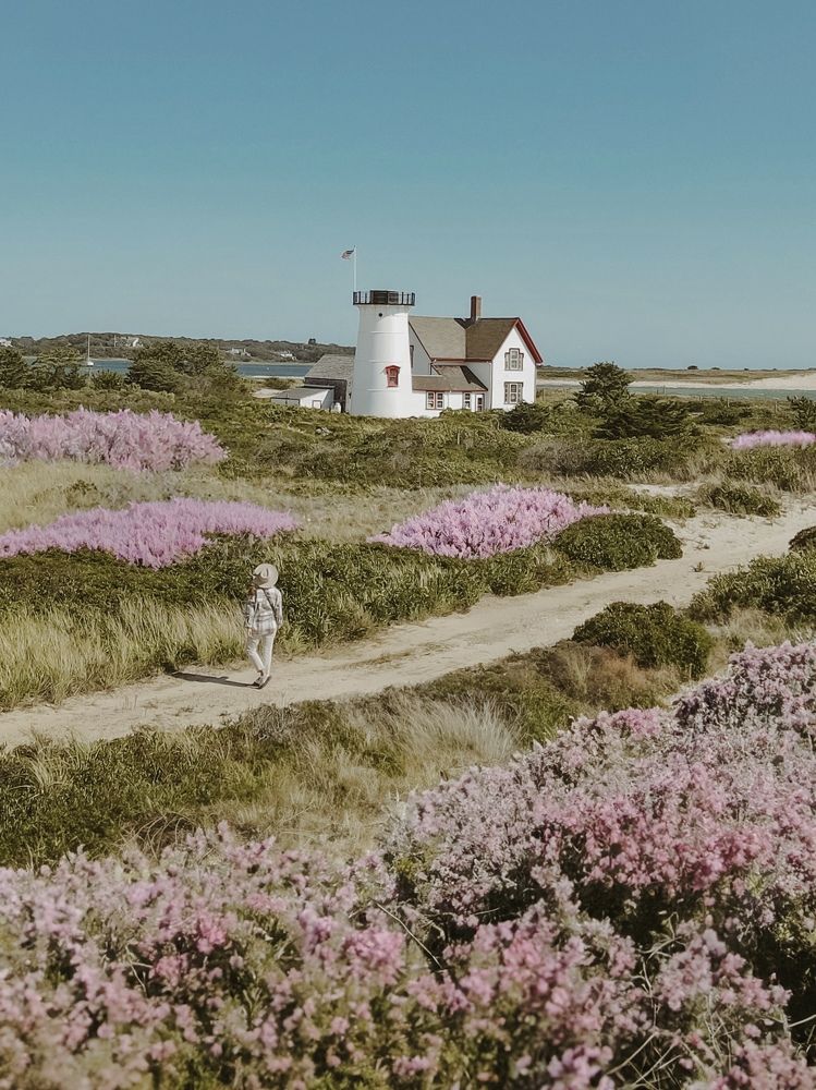 Photograph by Пономарева Марина