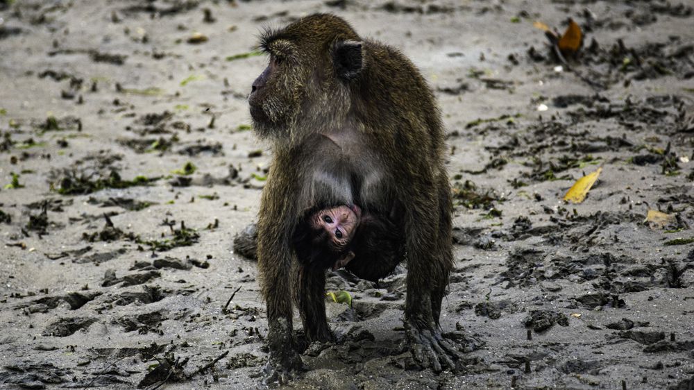 Photograph by Daler Ishankulov