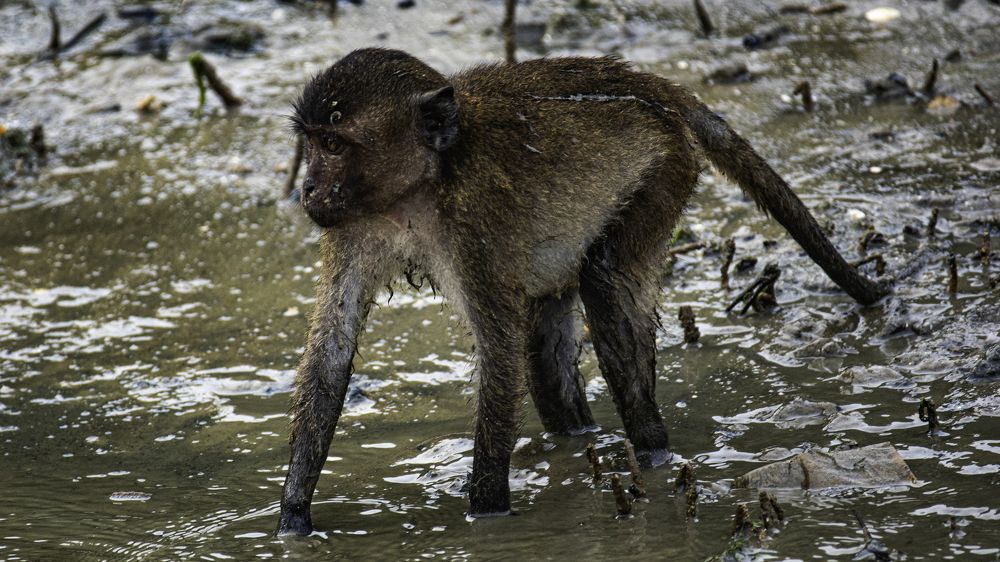 Photograph by Daler Ishankulov