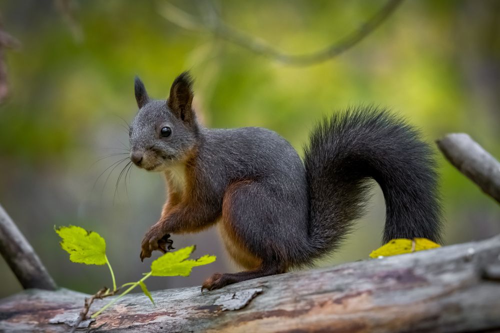 Photograph by Николай Головко