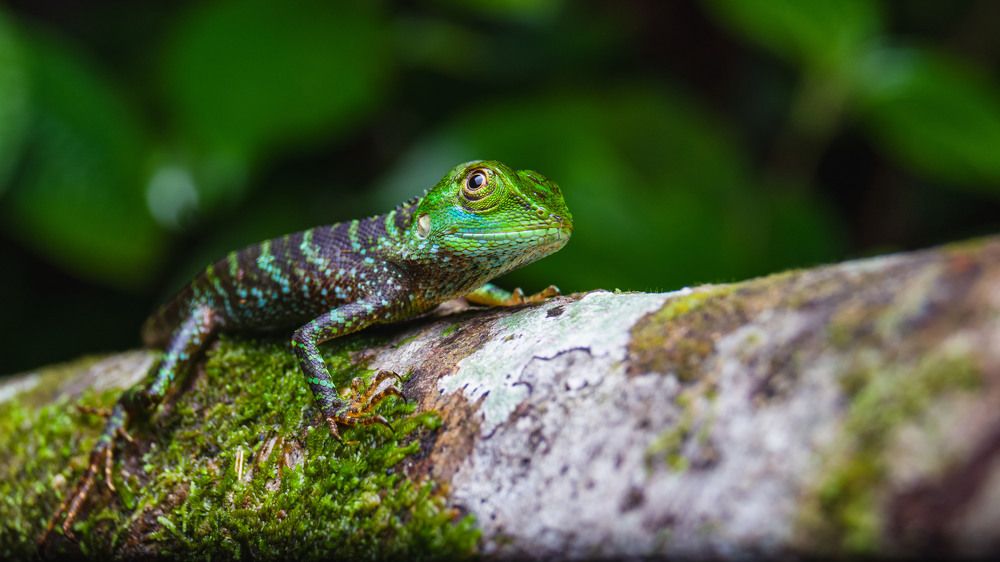 Photograph by Osanda Dissanayake