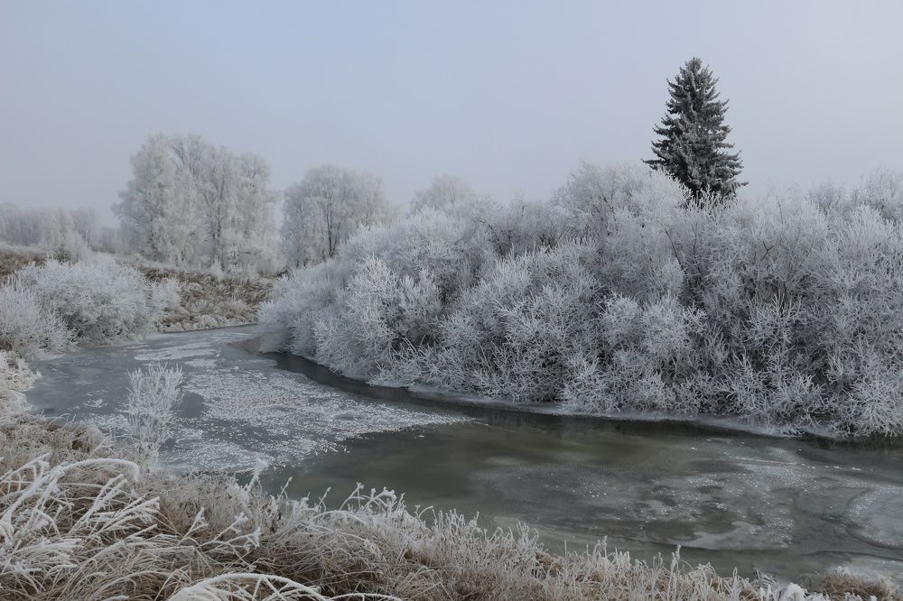 Photograph by Елена Федорова