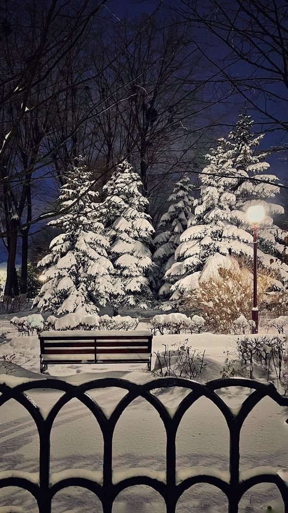 Photograph by Татьяна