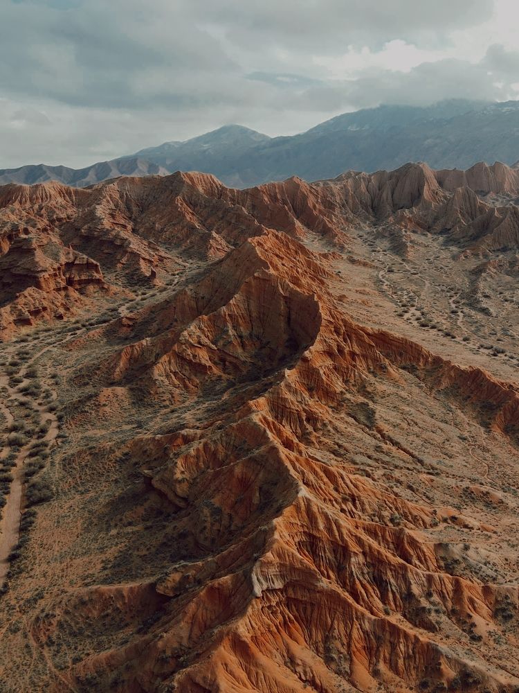 Photograph by Пономарева Марина