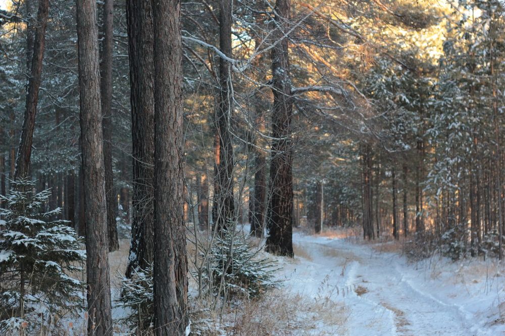 Photograph by Анна Киселёва