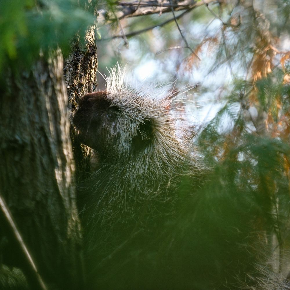 Photograph by Greg Noakes