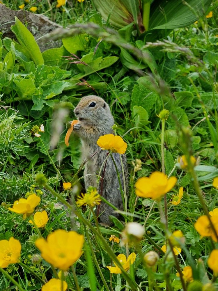 Photograph by Лидия Лащева