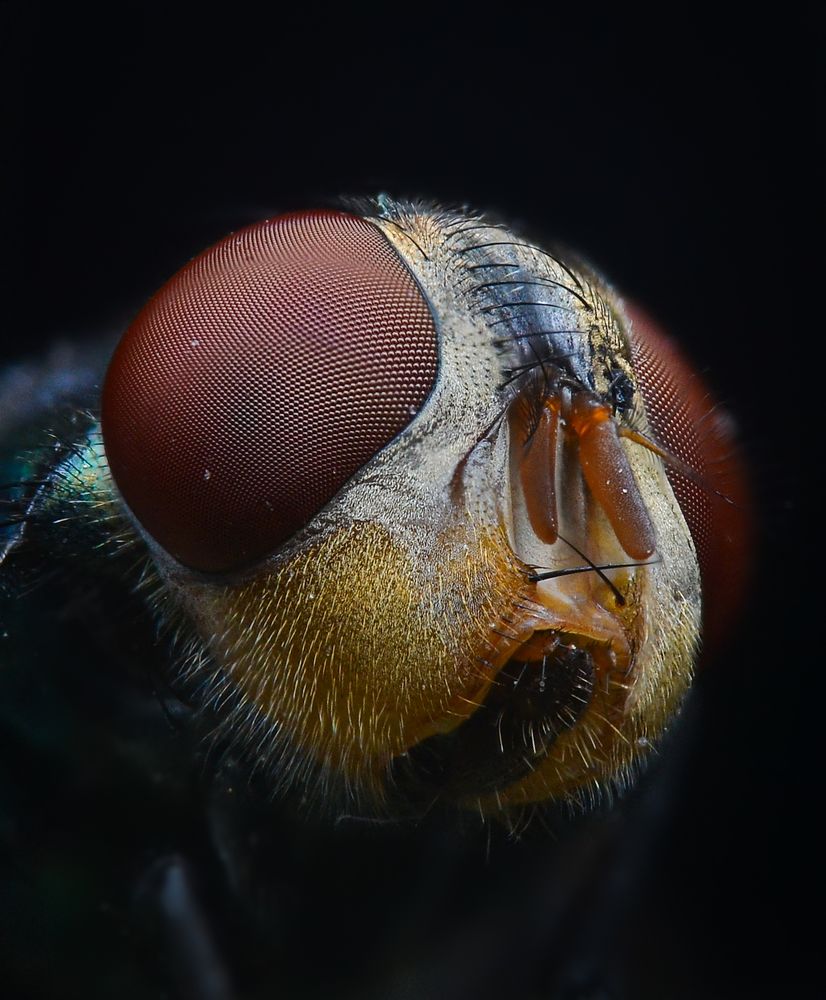 Photograph by Kasun Wickramasinghe