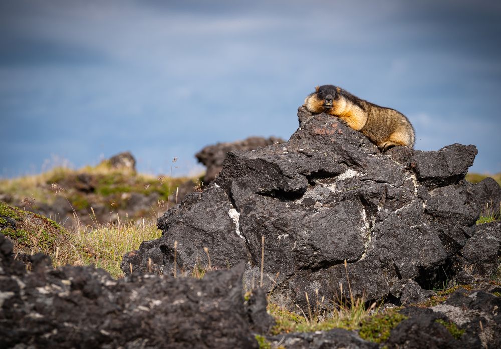 Photograph by Закаляпин Денис
