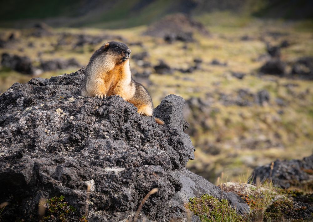 Photograph by Закаляпин Денис
